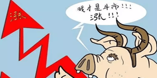 8月猪价反弹 养猪人的第二春来了？