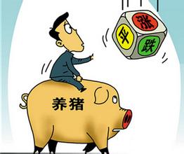 猪价继续上涨空间有限，很快将会趋向稳定
