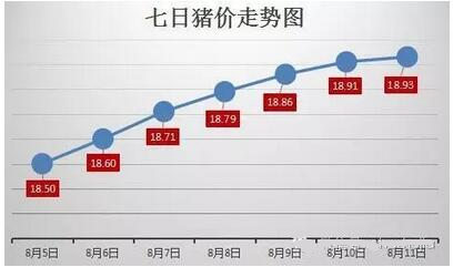 震荡下跌的序幕又开启了？NO,这是一场拉锯战……