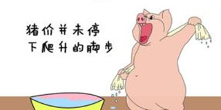 业内人士：8月猪价还会有一波涨幅
