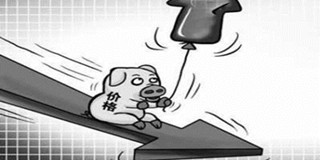 猪价已经结束高速增长 进入新一轮下跌通道了吗？