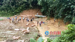 漳州华安一养猪场发生山体滑坡 600头生猪遭殃