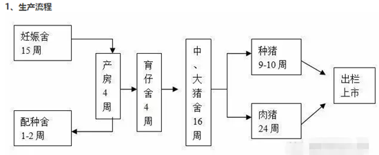 针对万头猪场养猪户该如何管理