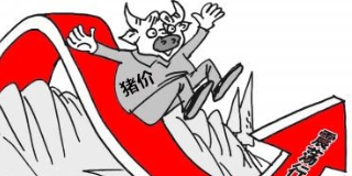 冯永辉：猪价回升至9.5-10元/斤还有多远？