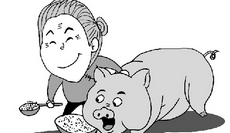 励志故事：农妇养猪半年赚100万，大姐说贵在坚持