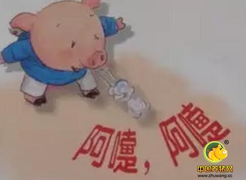 具体分析仔猪打喷嚏的原因及防控措施_猪病门诊