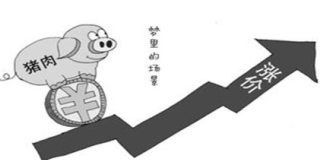 业内：猪价至少看涨至明年二季度