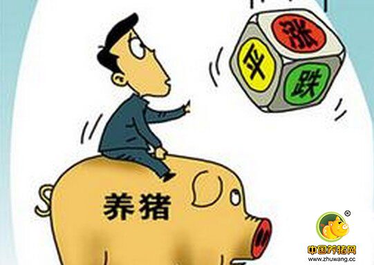 短线肉价多空博弈中 高位震荡是主流