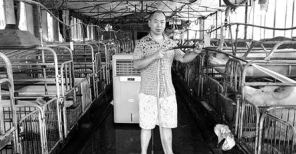 会赚钱！重庆村民养猪“养出”了个花椒园