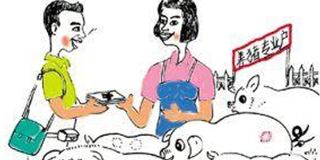 政府也抢猪源：把猪卖给广州，最高补贴高达500万！