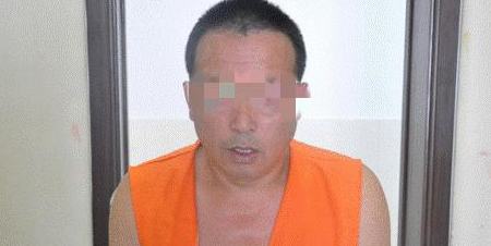 为换赌资男子疯狂偷猪 警方破案追回132头猪