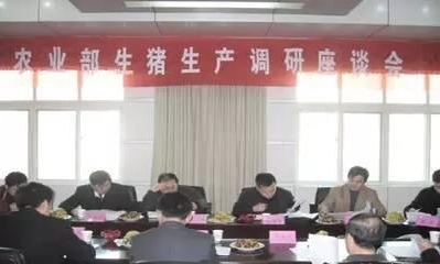 关于近期猪价，农业部生猪形势座谈会都说了些啥