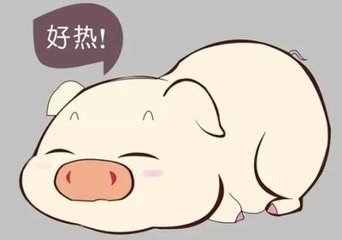 当前猪流感高发季节，如何做好猪群的预防与治疗?_猪病门诊