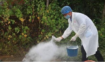 注意！大东北要在五年内实现免疫无口蹄疫区！