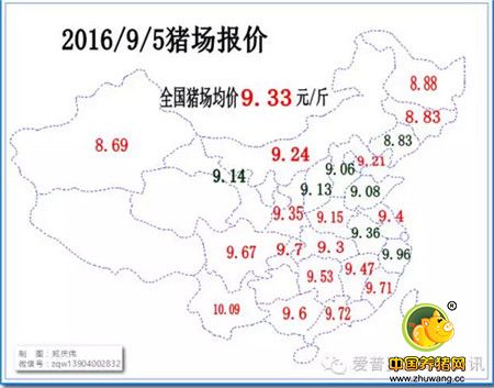 周末的变局，是否是屠宰场压价存货的前奏？