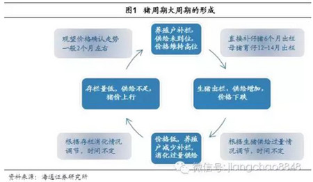 猪周期何以失灵？未来猪价走势如何?读完这篇你就懂了