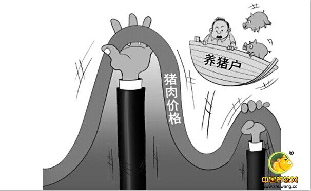供需变化依旧是9月份猪价走势的主导因素