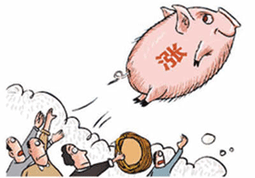 猪市长期产能去化进程基本结束 短期供应压力仍在