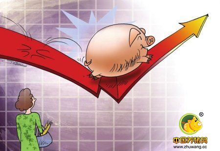 结算价格基本触底 北方猪价偏弱南方猪价滞涨趋稳