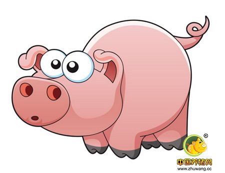 农牧企业布局生猪养殖 未来猪价一片向好？