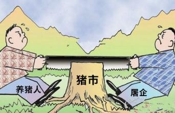 猪价上涨和下跌阻力均较大 供需双方意欲打破供需平衡均未果