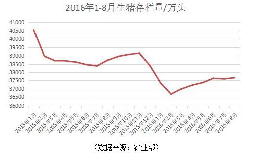纳尼!养猪进入“后周期”时代 能繁母猪存栏量仍在减少？