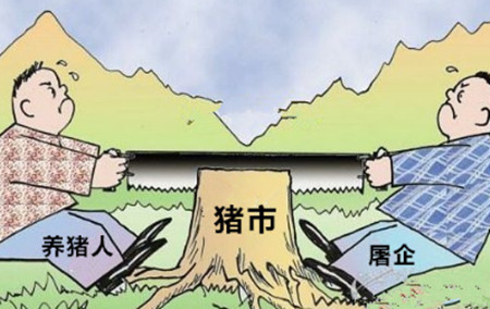 八月生猪存栏量增加 猪价缺乏上涨动力暂无利好