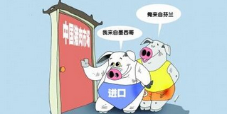 短短2天国家又开放4个进口猪肉口岸，进口数量还要上涨？