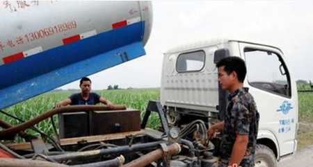 你还在为猪粪忧伤? 他却在粪里刨出金子，两年卖了上百万!