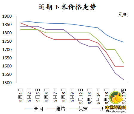 什么，玉米20天内跌幅超300元/吨？！