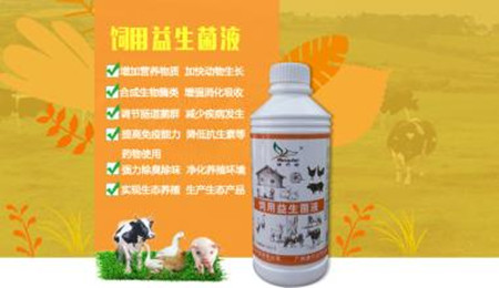 饲用益生菌的研发