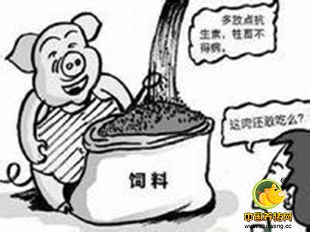 西班牙学者揭示抗生素对肠道菌群及代谢影响巨大