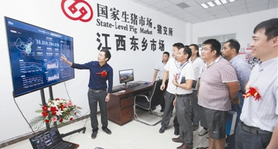 江西首个落地区域猪交所开市 在线交易额近150亿元