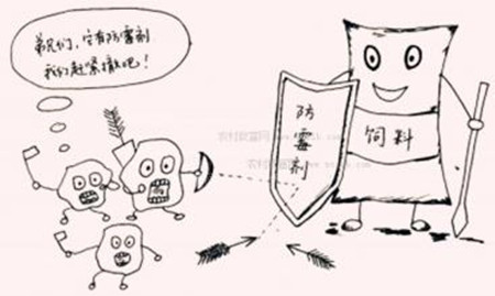 猪饲料“无抗”对饲料配方的影响