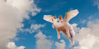 8月进口猪肉再超19万吨 1-8月总量已超政府预期