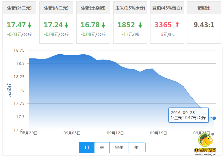 国庆前后猪价差不多要涨了？