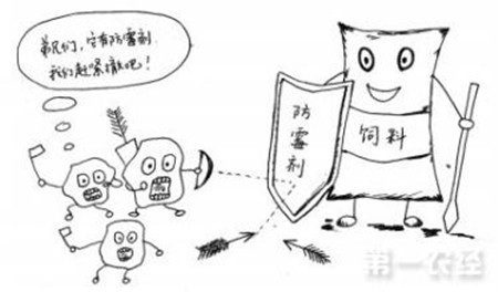 巧妙自制饲料防霉剂