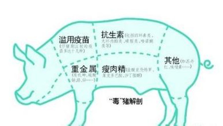 风味剂没有正确使用，猪生长慢，不是猪的错！