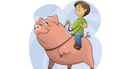 农村养猪男有什么好？嫁给他居然会这么幸福！