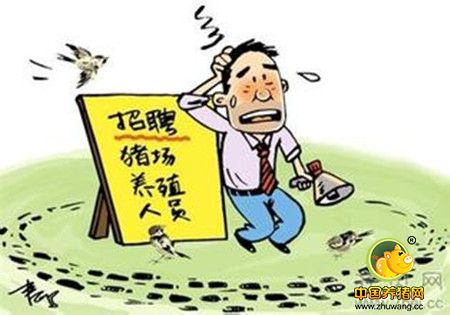 浅谈猪场人员招聘和管理