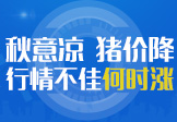 假期必看：秋意凉 猪价降 行情不佳何时涨？