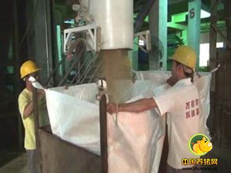 发酵豆粕对不同阶段生猪生长性能及健康状况的影响