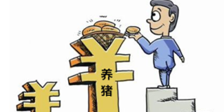 市场猪源供应充足，“十一”备货只提量，不提价