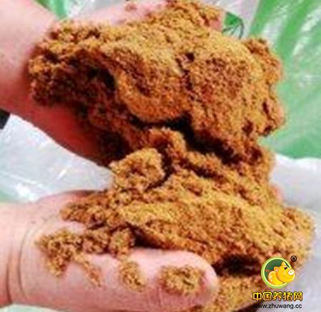 再次了解能量饲料与原料