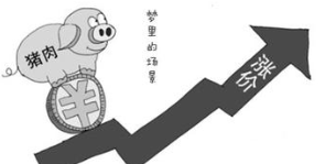猪价即将跌破17元！这次大跌仅次于今年6月份