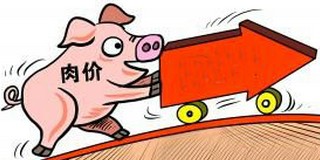 猪价低点跌破16元/公斤的可能性非常低