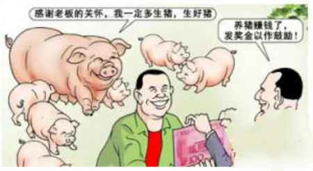给猪场老板提个醒，管理出效益啊！