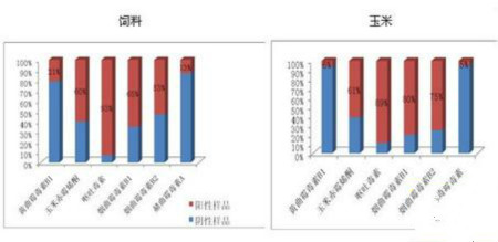 饲料中霉菌毒素的危害