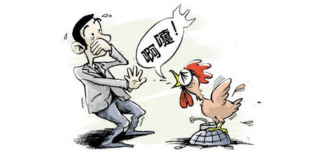 全国发生两起高致病性禽流感疫情 死亡率高达90%！