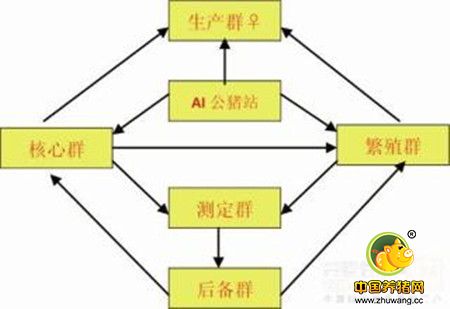 规模化猪场联产、联成本、联质量管理方式